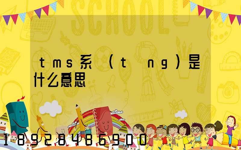 tms系統(tǒng)是什么意思