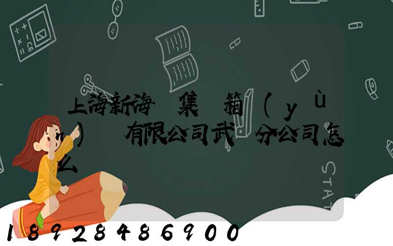 上海新海豐集裝箱運(yùn)輸有限公司武漢分公司怎么樣