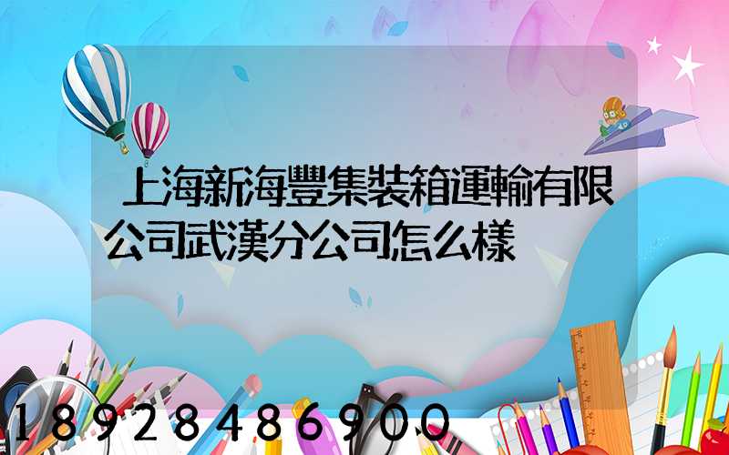 上海新海豐集裝箱運輸有限公司武漢分公司怎么樣