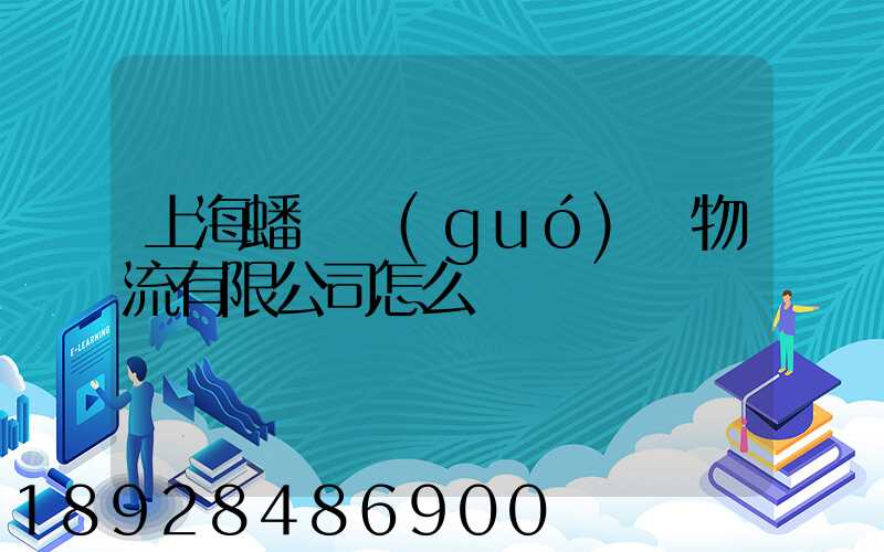 上海蟠龍國(guó)際物流有限公司怎么樣
