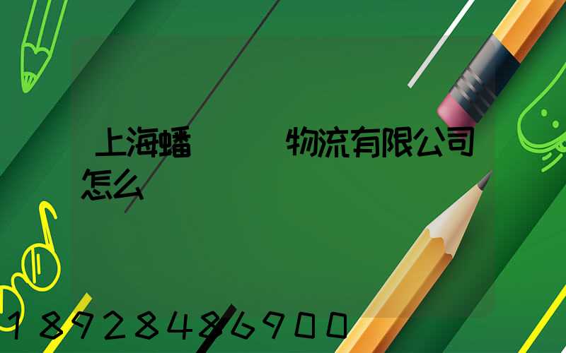 上海蟠龍國際物流有限公司怎么樣