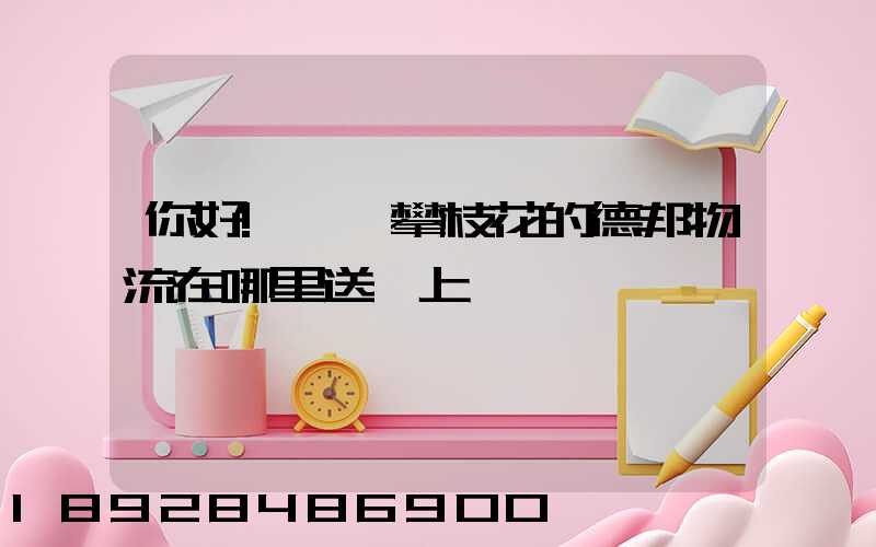 你好!請問攀枝花的德邦物流在哪里送貨上門嗎