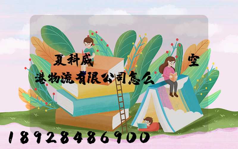 寧夏科威國(guó)際空港物流有限公司怎么樣