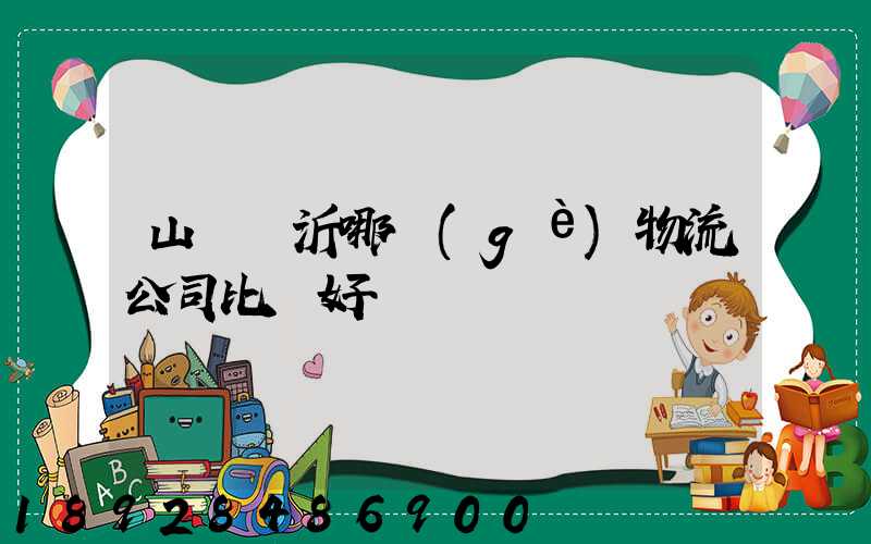 山東臨沂哪個(gè)物流公司比較好