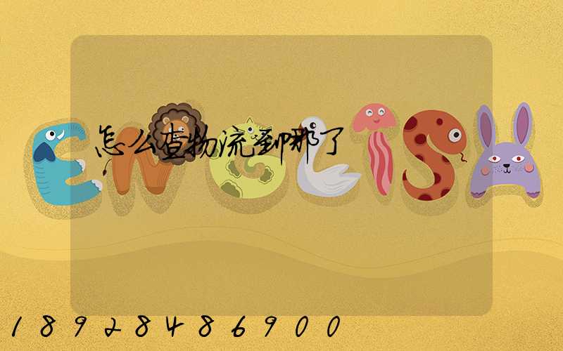 怎么查物流到哪了