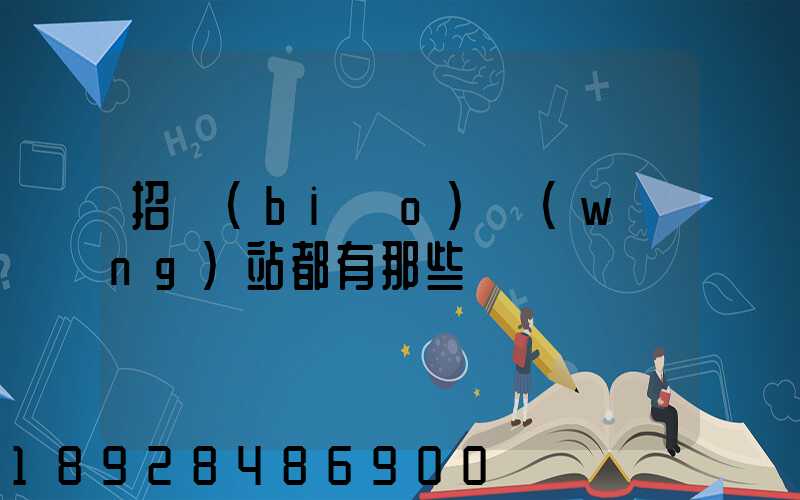 招標(biāo)網(wǎng)站都有那些