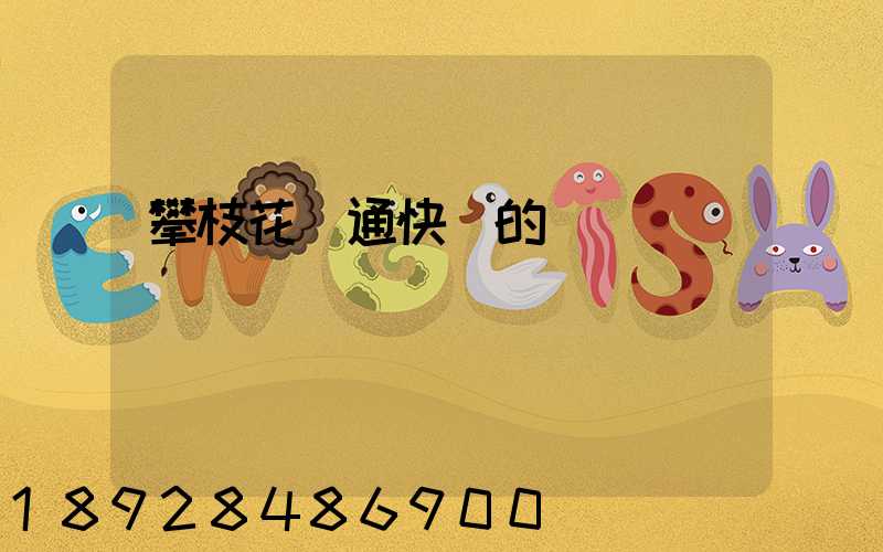 攀枝花圓通快遞的電話號碼