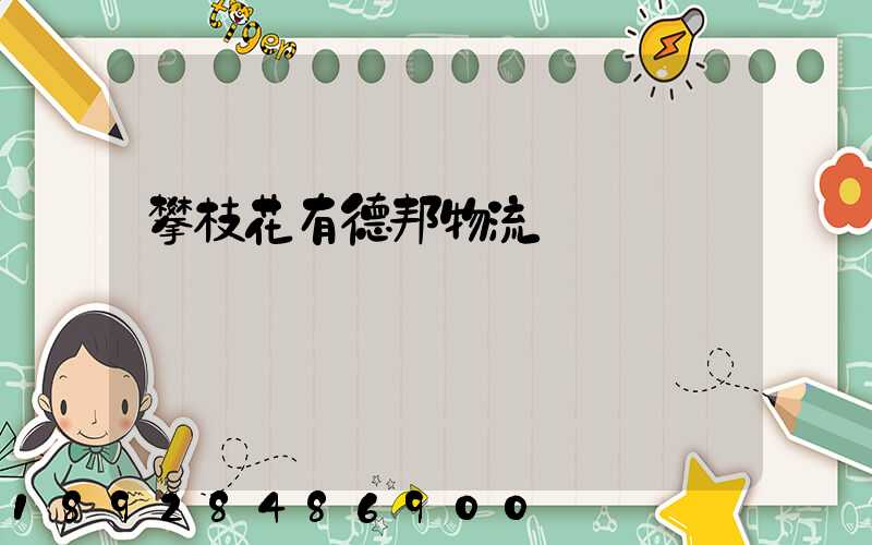 攀枝花有德邦物流嗎