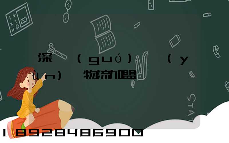 深圳國(guó)際運(yùn)輸物流加盟