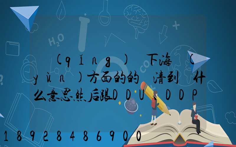 請(qǐng)問下海運(yùn)方面的的雙清到門什么意思然后跟DDU、DDP有什么差別