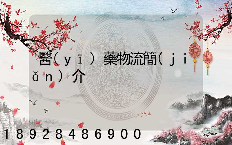 醫(yī)藥物流簡(jiǎn)介
